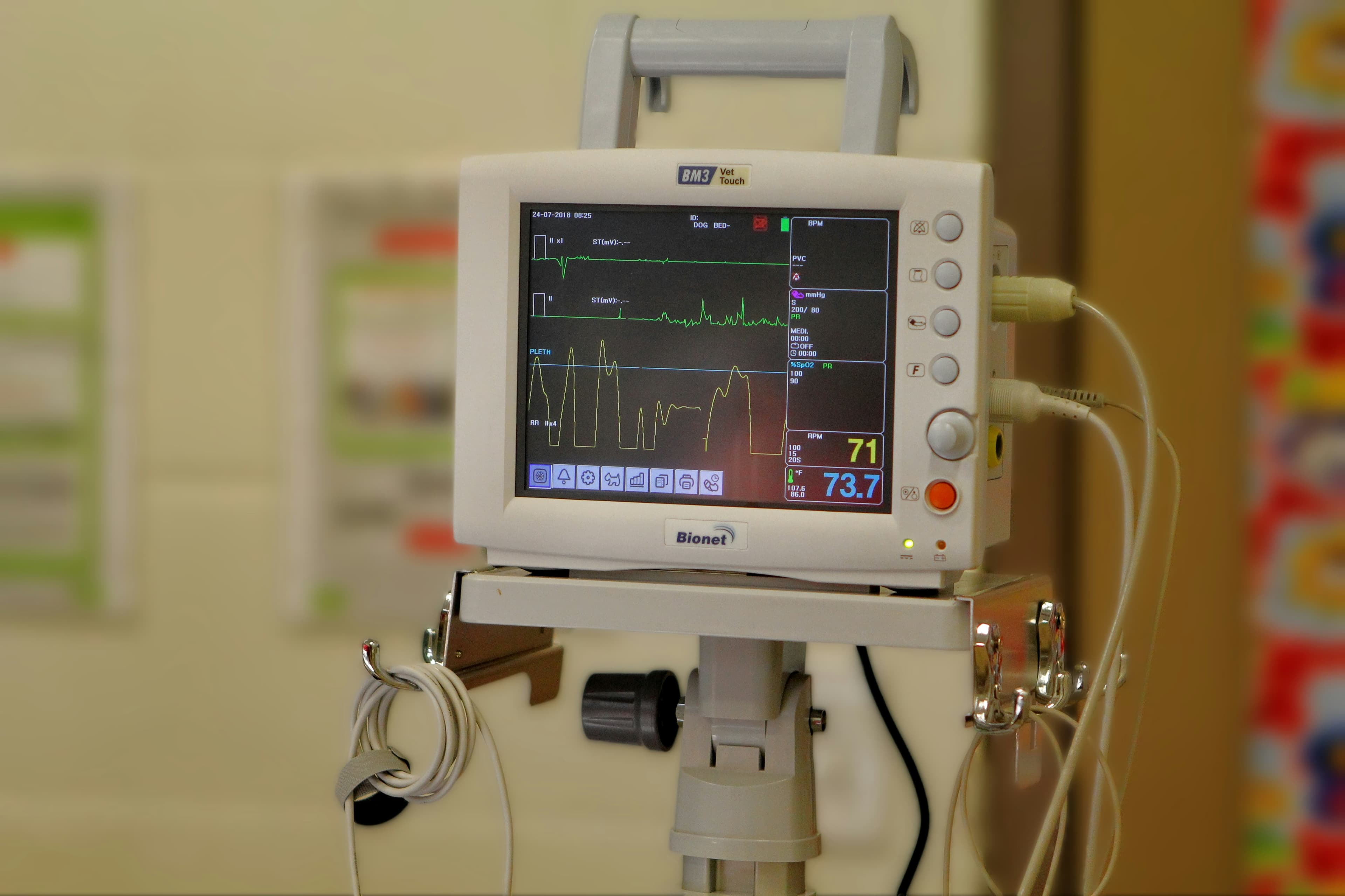 IoT ECG Monitoring System for Mobile Usage